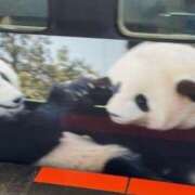 ヒメ日記 2025/11/28 11:56 投稿 中村たま 五十路マダム　和歌山店