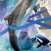 ヒメ日記 2026/01/15 16:04 投稿 中村たま 五十路マダム　和歌山店