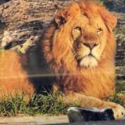 ヒメ日記 2026/02/22 10:46 投稿 中村たま 五十路マダム　和歌山店