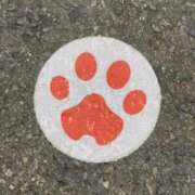 ヒメ日記 2026/02/23 15:34 投稿 中村たま 五十路マダム　和歌山店