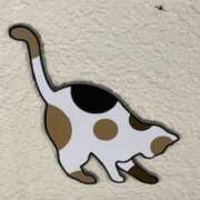 ヒメ日記 2026/03/12 09:14 投稿 中村たま 五十路マダム　和歌山店