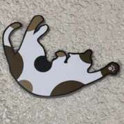 ヒメ日記 2026/03/19 11:18 投稿 中村たま 五十路マダム　和歌山店