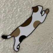 ヒメ日記 2026/03/20 00:32 投稿 中村たま 五十路マダム　和歌山店