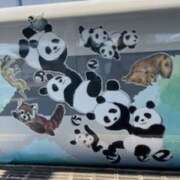 ヒメ日記 2026/03/20 09:28 投稿 中村たま 五十路マダム　和歌山店