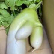 ヒメ日記 2026/03/27 09:16 投稿 中村たま 五十路マダム　和歌山店