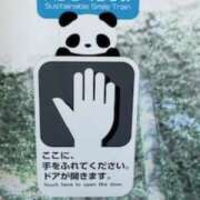 ヒメ日記 2026/04/05 10:30 投稿 中村たま 五十路マダム　和歌山店