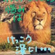 ヒメ日記 2026/04/10 09:14 投稿 中村たま 五十路マダム　和歌山店