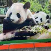 ヒメ日記 2026/04/10 17:30 投稿 中村たま 五十路マダム　和歌山店