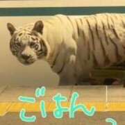 ヒメ日記 2026/04/12 14:16 投稿 中村たま 五十路マダム　和歌山店