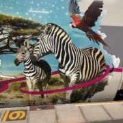 ヒメ日記 2026/04/15 23:58 投稿 中村たま 五十路マダム　和歌山店