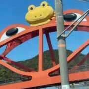 ヒメ日記 2026/05/21 09:04 投稿 中村たま 五十路マダム　和歌山店