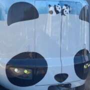 ヒメ日記 2026/06/09 19:08 投稿 中村たま 五十路マダム　和歌山店