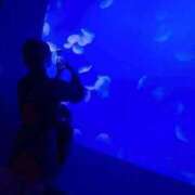 ヒメ日記 2025/12/04 15:22 投稿 EREN【サファイアランク】 アイドルオーディション