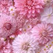 ☆ちか☆保育士先生 ここでも！ ◆プラウディア◆AAA級素人娘在籍店