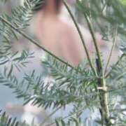 ヒメ日記 2026/01/09 15:02 投稿 ほのか ご近所物語