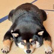 ヒメ日記 2025/09/15 10:08 投稿 まこと ご近所物語