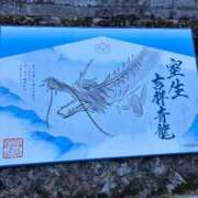 ヒメ日記 2025/10/10 10:10 投稿 まこと ご近所物語