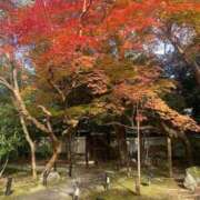 ヒメ日記 2025/11/25 19:15 投稿 宮野　しおり プルプル京都性感エステ　はんなり