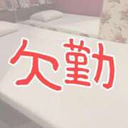 ヒメ日記 2025/09/10 09:39 投稿 しおん イエスグループ熊本 TSUBAKI(ツバキ)