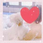 ヒメ日記 2026/02/08 04:36 投稿 芹沢　みつき エテルナ京都