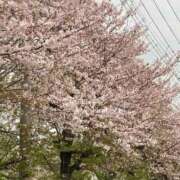 ヒメ日記 2026/04/07 21:34 投稿 れいか 出会い系人妻ネットワーク 春日部〜岩槻編