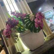 ヒメ日記 2025/09/02 22:22 投稿 うめ 錦糸町ちゃんこ