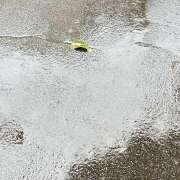 ヒメ日記 2025/09/05 14:08 投稿 あけみ 完熟ばなな川崎