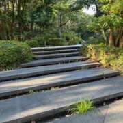 ヒメ日記 2025/09/12 22:31 投稿 あけみ 完熟ばなな川崎