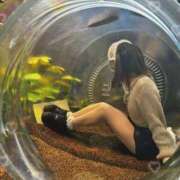 ヒメ日記 2025/09/28 06:42 投稿 ネム 1ROUND