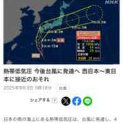 ヒメ日記 2025/09/03 06:21 投稿 うみ コレクション