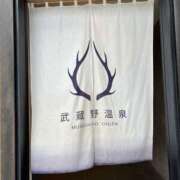 ヒメ日記 2025/09/25 10:39 投稿 うみ コレクション