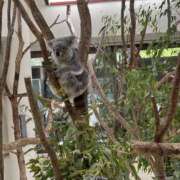 ヒメ日記 2025/10/02 11:57 投稿 うみ コレクション