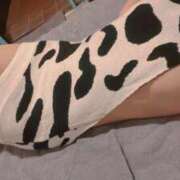 ヒメ日記 2025/10/09 12:53 投稿 うみ コレクション