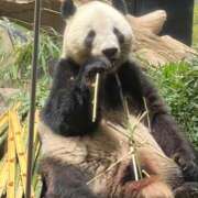 ヒメ日記 2025/11/21 10:08 投稿 うみ コレクション