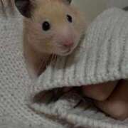 ヒメ日記 2025/10/18 20:43 投稿 ことり ダイスキ