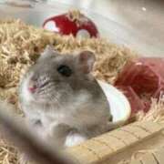 ヒメ日記 2025/10/20 20:45 投稿 ことり ダイスキ