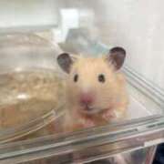 ヒメ日記 2025/11/08 22:17 投稿 ことり ダイスキ