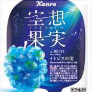 ヒメ日記 2025/12/01 23:26 投稿 ことり ダイスキ