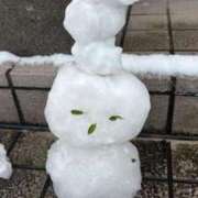 ヒメ日記 2026/01/18 22:03 投稿 ことり ダイスキ