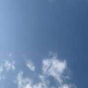 ヒメ日記 2026/01/19 10:51 投稿 ことり ダイスキ