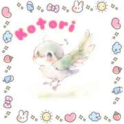 ヒメ日記 2026/02/05 10:54 投稿 ことり ダイスキ