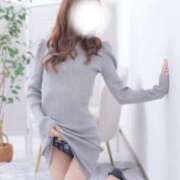 ヒメ日記 2026/02/13 11:36 投稿 ことり ダイスキ