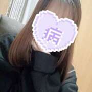 ヒメ日記 2026/02/24 11:29 投稿 ことり ダイスキ