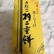 ヒメ日記 2026/03/19 20:58 投稿 ことり ダイスキ