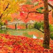 ヒメ日記 2025/11/10 17:39 投稿 柳さえ ウルトラハピネス