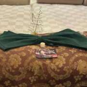 ヒメ日記 2025/12/15 20:59 投稿 柳さえ ウルトラハピネス