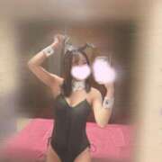 ヒメ日記 2025/10/18 11:48 投稿 のわ JAPAN CLUB BUNNY LOUNGE