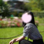 ヒメ日記 2025/10/22 20:02 投稿 のわ JAPAN CLUB BUNNY LOUNGE