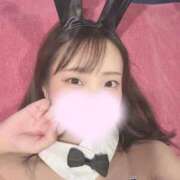 ヒメ日記 2025/11/04 15:35 投稿 のわ JAPAN CLUB BUNNY LOUNGE
