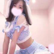 ヒメ日記 2025/11/12 08:25 投稿 のわ JAPAN CLUB BUNNY LOUNGE